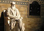 The Natural History Museum