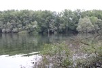 Lucembursko, Nmecko