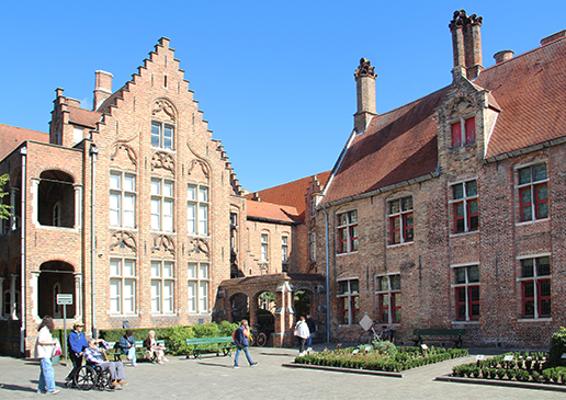 Bruggy